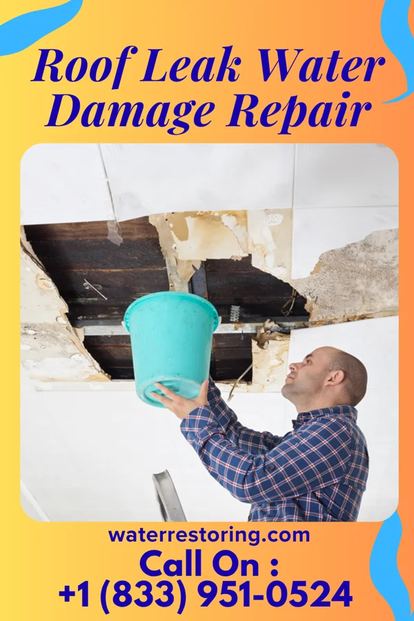 Roof Leak Water Damage Repair in Bluffton, SC
